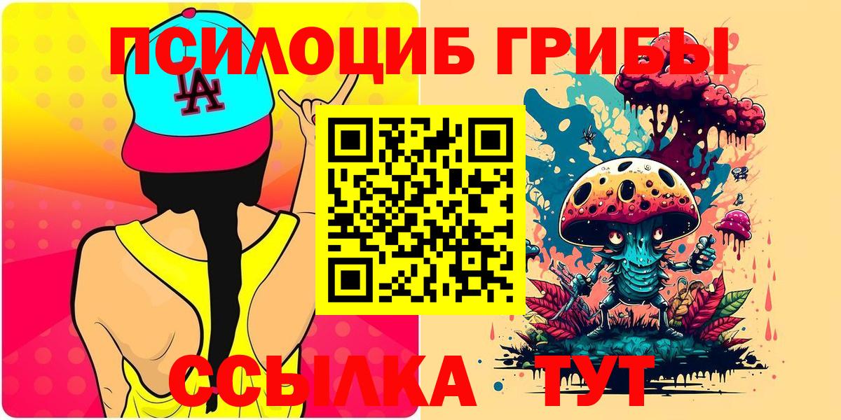 Псилоцибиновые грибы Cubensis Кумертау