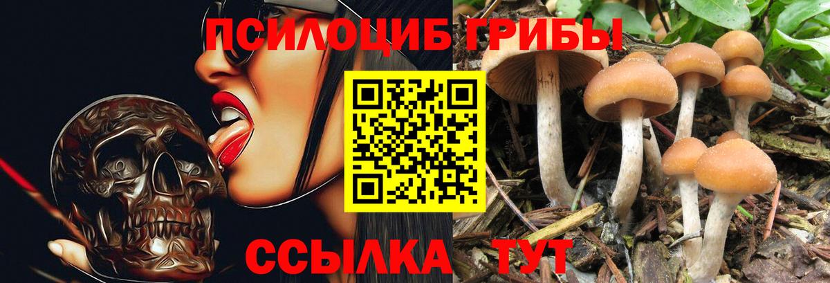 Галлюциногенные грибы GOLDEN TEACHER  Вход с VPN  Кумертау 